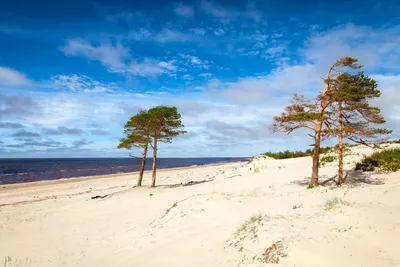 Пляжи Азовского моря | Фото, на карте, отзывы