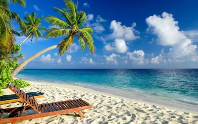 Пазл море и чистый пляж - разгадать онлайн из раздела \"Пейзажи\" бесплатно