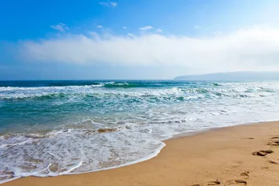 Тропический пляж, берег моря с пальмами Стоковое Фото - изображение  насчитывающей море, берег: 95558932