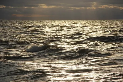 Волновое Образование Адриатического Моря — стоковые фотографии и другие  картинки Море - Море, Волна, Вода - iStock