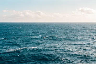 Как возникают волны в океане