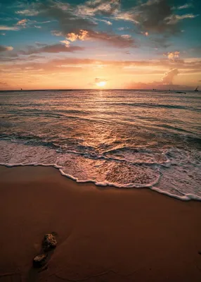 Обои скачать на телефон природа пляж и море. | Обои на телефон пальмы,песок, море. | Постила