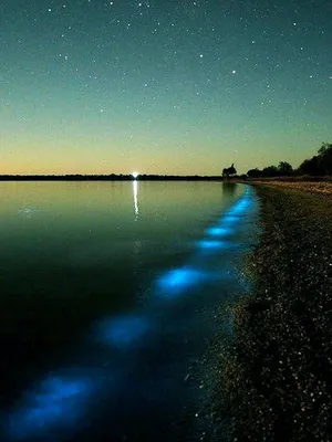 File:Бурное море ночью - Айвазовский.jpg - Wikimedia Commons