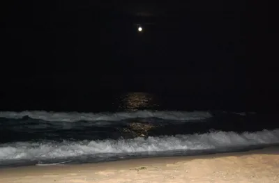 Лунная ночь на море (72 фото) - 72 фото