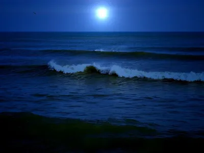 Ученые объяснили,почему вода в Черном море ночью светится ярко синим светом  - Аргументы Недели