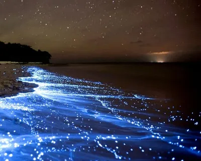 Азовское море ночью светится. Невероятно красивое зрелище. | Человек  Перемен | Дзен