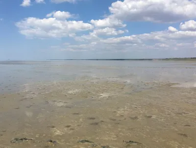 Пляжи курорта Ейск, Азовское море