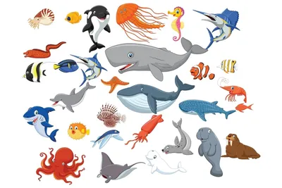 Тактика защиты морских животных | islam.ru