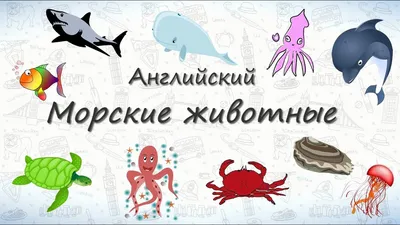 Симуляция Морских Животных Моделировать Игрушки Декоративные Реквизиты Рыбы  Акула Краб Морские Организмы Модели Украшения Декорации Дети Обучают  Образовательные Игрушки От 159 руб. | DHgate