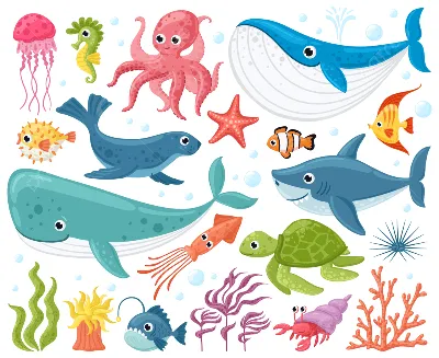 Рыба и дикий набор морских животных Иллюстрация вектора - иллюстрации  насчитывающей ангстрома, каракули: 215117123