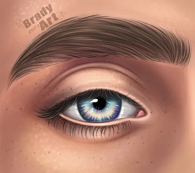 Голубой мужской глаз. Крупный план Стоковое Изображение - изображение  насчитывающей взорвать, ресница: 36071907