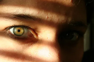 Жёлто-зелёный мужской глаз, нежно…» — создано в Шедевруме