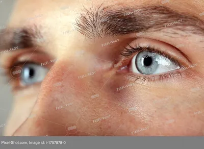 Красивый синий мужской глаз крупным планом :: Стоковая фотография ::  Pixel-Shot Studio