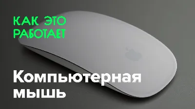 Дорогая или дешевая компьютерная мышь: что выбрать? | Мыши | Блог | Клуб DNS