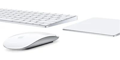 Клавиатура и мышь – основные устройства управления компьютером и ввода  данных
