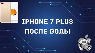 Крупная утечка: первые качественные «живые» фото iPhone 7 и 7 Plus -  Hi-Tech Mail.ru