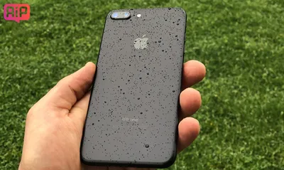 Купить Apple iPhone 7 Plus 32 ГБ Глянцевый в Москве дешево, кредит и  рассрочка на Apple iPhone 7 Plus 32 ГБ Глянцевый в интернет-магазине  istore.su