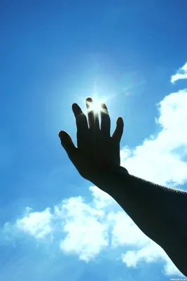 Силуэт руки на фоне Солнца и голубого неба на аватар — Фотографии для  аватара