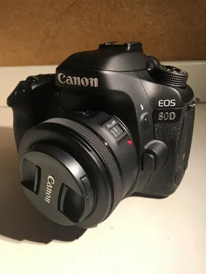 Canon EOS 80D – Image Quality and Verdict Review | Trusted Reviews