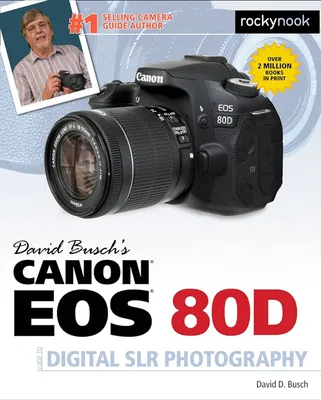 Canon EOS 80D With Canon EF 24-105mm IS Lens. With Battery, 128gb, Backpack  | eBay