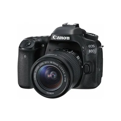 Buy Canon EOS 80D DSLR Camera 1263C004 (Body Only) Online | Deals All Year  – DealsAllYearDay