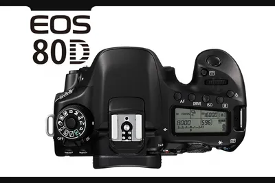 Canon EOS 80D 24.2MP DSLR Camera Body w/ 18-55mm f3.5-5.6 EFS Lens