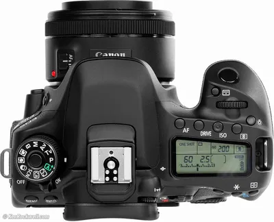 Canon 80D Review