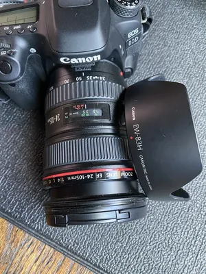 Canon 80D Camera Review: Great for Advanced Photographers