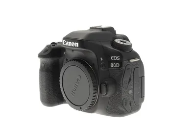 Canon EOS 80D 24.2MP DSLR Camera Body w/ 18-55mm f3.5-5.6 EFS Lens