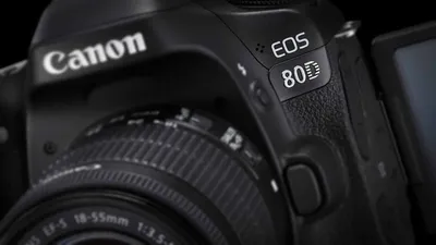 Canon EOS 80D RAW lab sample pictures published