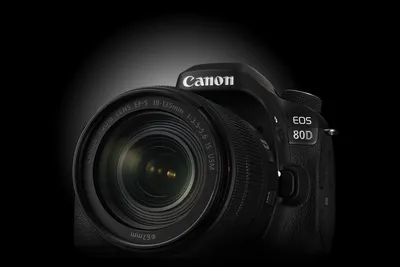 10 Best Lenses for Canon 80D in 2024