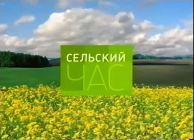 Комендантский час на Новый год 2023 - будут ли отменять, список ограничений  по регионам | РБК Украина