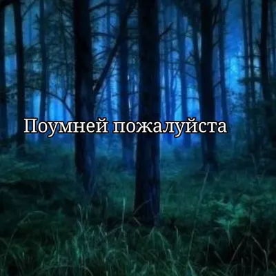 Найденный мной гриб на фоне леса. :: Вячеслав. Синицын – Социальная сеть  ФотоКто