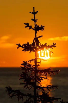 Красивые видео | Море на фоне заката | Дзен