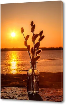 Старый деревянный ствол коряга в воде на тропическом пляже на красивом фоне  заката природа морской пейзаж солнце садится в волнах Эгейского моря пляж  Агиос Иоаннис Фото И картинка для бесплатной загрузки -