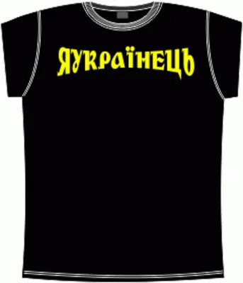 Недорогие футболки с вышивкой в Харькове | Вишиваночка.ua