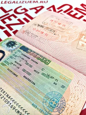 Анкета на получение шенгенской визы заполняется очень просто. Открывайте -  научу | ВСвете. Путешествия Светы по Свету | Дзен
