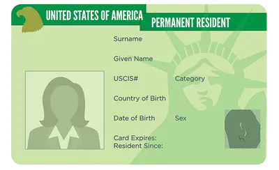 Green Cards - Timeline, Costs, and Types - Boundless Immigration