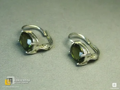 Spoo-Design | Серьги-змеи с зелеными кристаллами, серьги-гвоздики из  циркония | 925 серебряные серьги