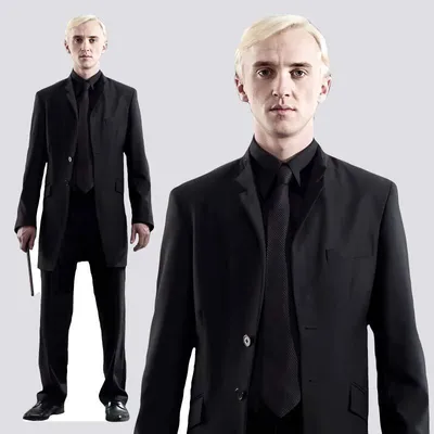 Ростовая фигура Драко Малфой (Draco Malfoy) вид 2 (615x1800 мм) - купить по  выгодной цене | Магазин шаблонов Принт100