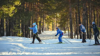 4 человека катаются на лыжах в лесу · Бесплатные стоковые фото
