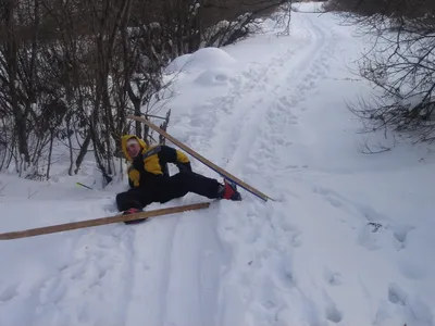 Вездеходное покататься на лыжах в лесу снежном зимы Стоковое Изображение -  изображение насчитывающей тренировка, сезон: 212942925