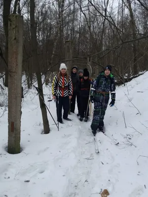 Человек будет кататься на лыжах в лесу снега зимой. Вид сзади. Вездеходное  покататься на лыжах в лесу зимы Стоковое Фото - изображение насчитывающей  курорт, люди: 207330624