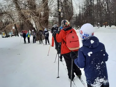 Family healthy lifestyle! Mother and son go skiing in the woods Stock Photo  by ©Guas 65419597