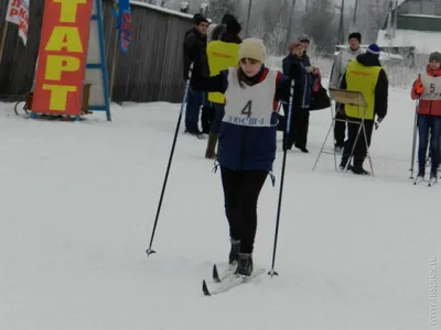 НА ЛЫЖАХ ПО ЗАПОВЕДНОМУ ЛЕСУ