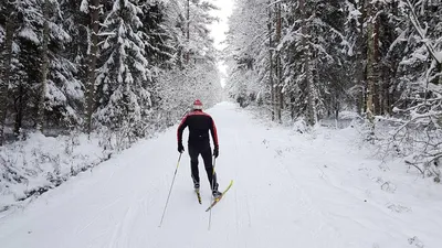 Мы за здоровый образ жизни» прогулка на лыжах - Культурный мир Башкортостана