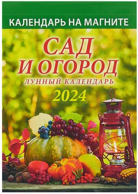 Купила выпечку в Магните, покажу, что на витрине, сравнила с ценами в  пекарне, где покупать выгоднее | Дневник L - обзоры - покупки | Дзен