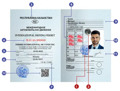 Российские и международные водительские права в США: действуют ли они в  Америке в 2024 году