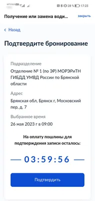 Как получить международные права и зачем они нужны - Автошкола «Карат»