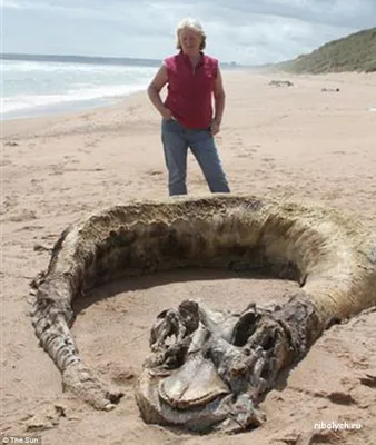 Человек без лица идёт по морю …» — создано в Шедевруме